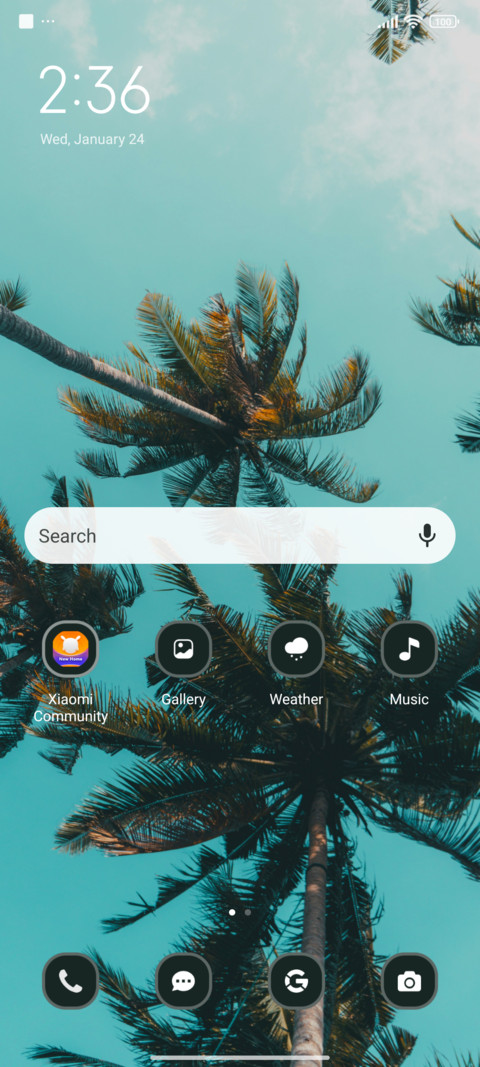 Palm Tree screenshot