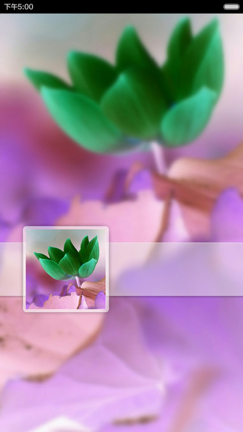最美荷花（全图标） screenshot