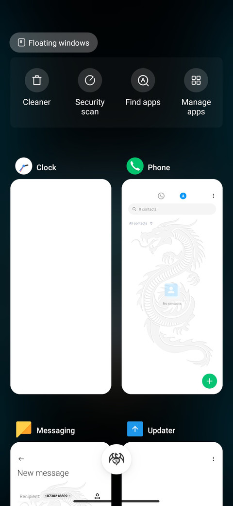 Dragon  12  screenshot