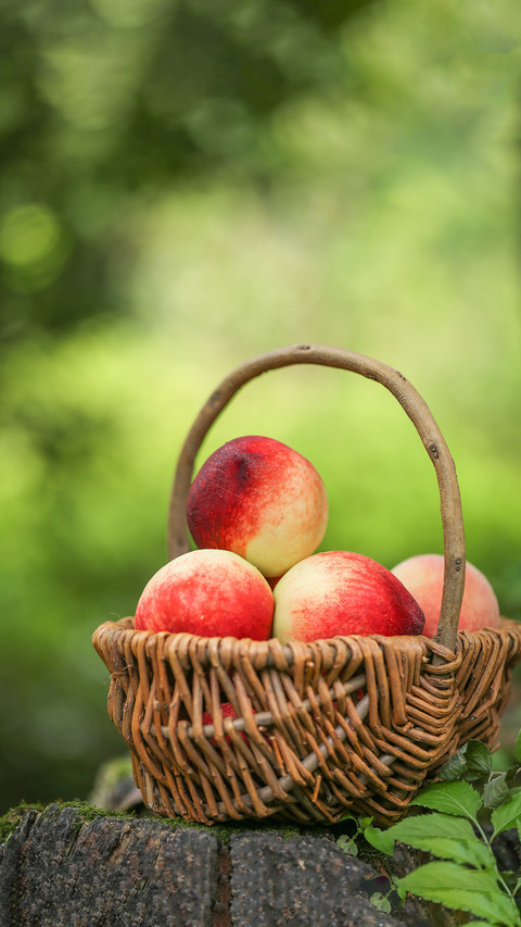 What fruits did ancient people eat screenshot
