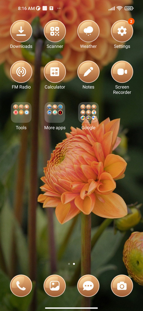Orange Dahalias screenshot
