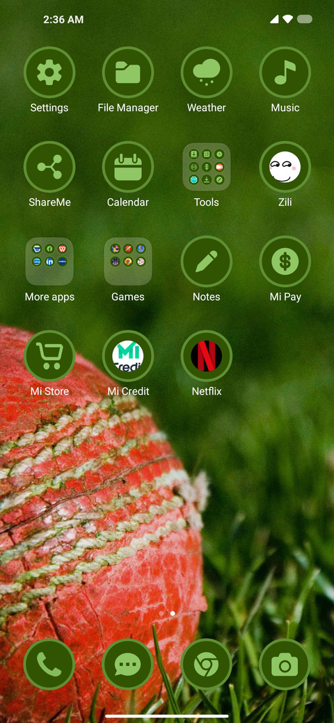 Ground Cricket screenshot