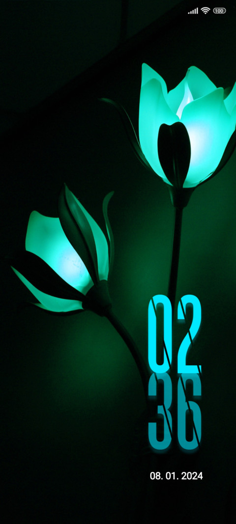lamp flowers screenshot