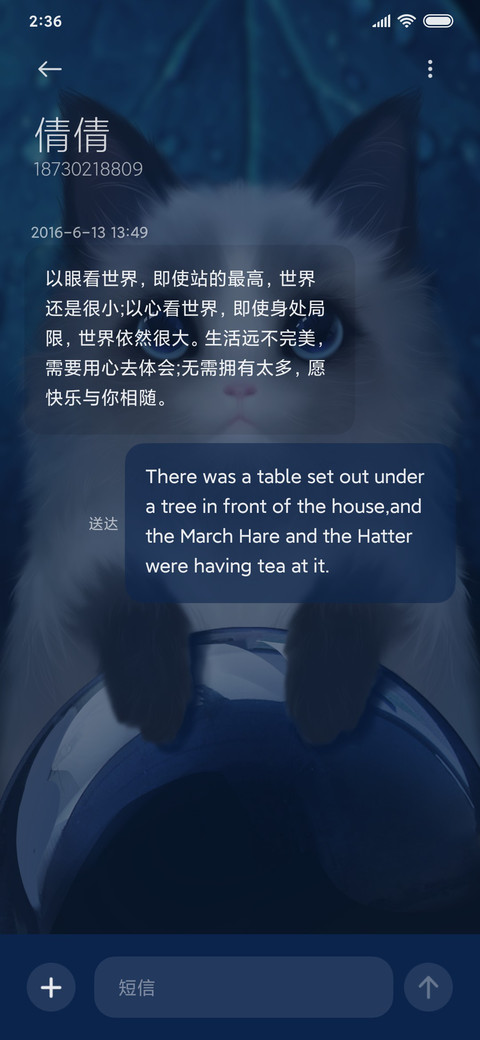 音效萌宠小猫咪 screenshot