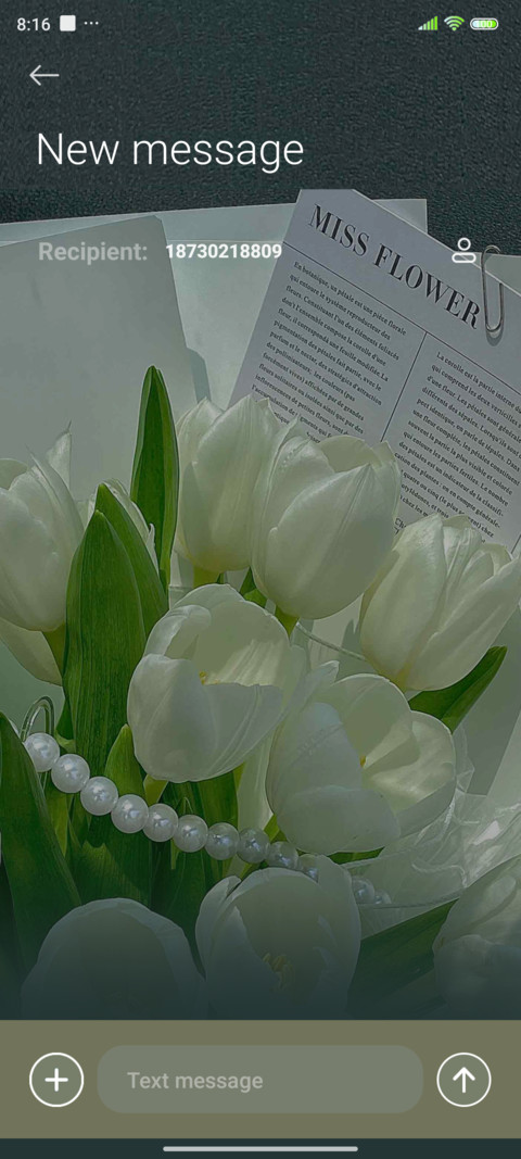 Vitality of spring screenshot