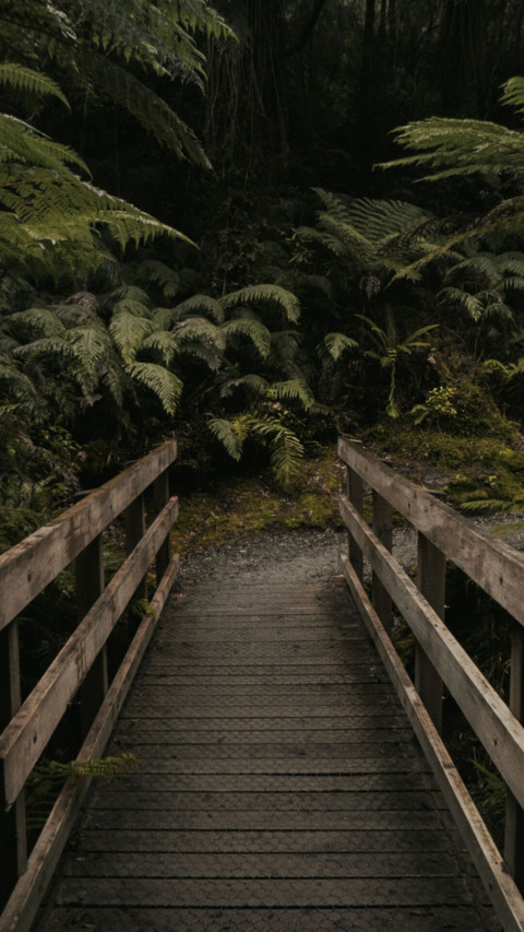 Bridges Of Life (18) screenshot