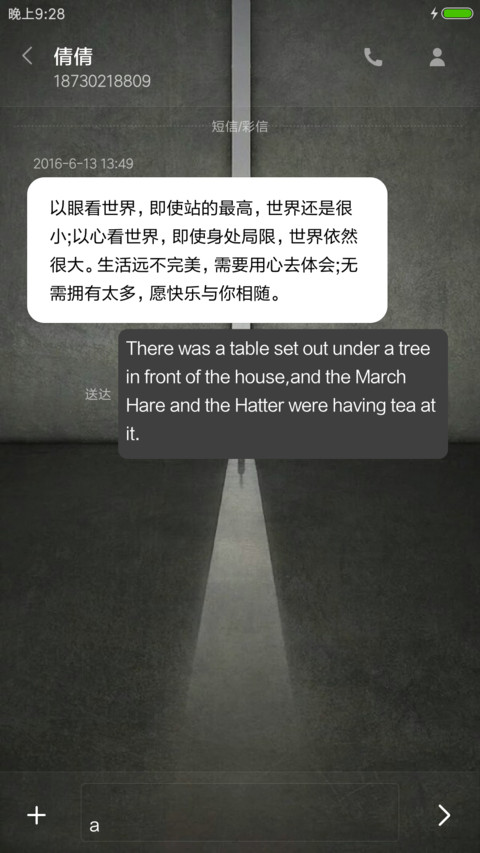 理想与孤独 screenshot