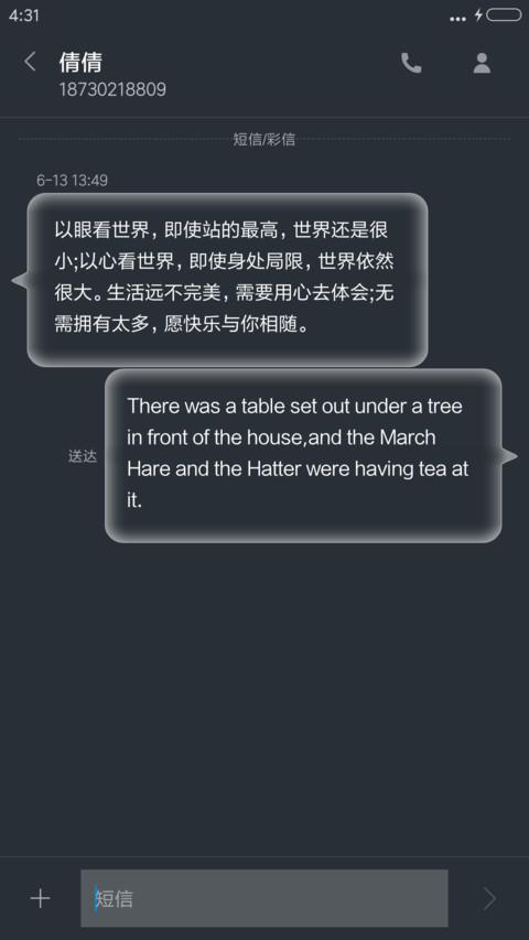 简约 screenshot