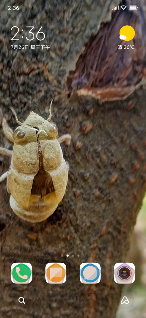 Insect screenshot