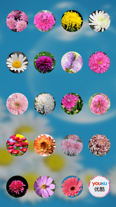 菊花（动态锁屏特效+动态桌面特效） screenshot