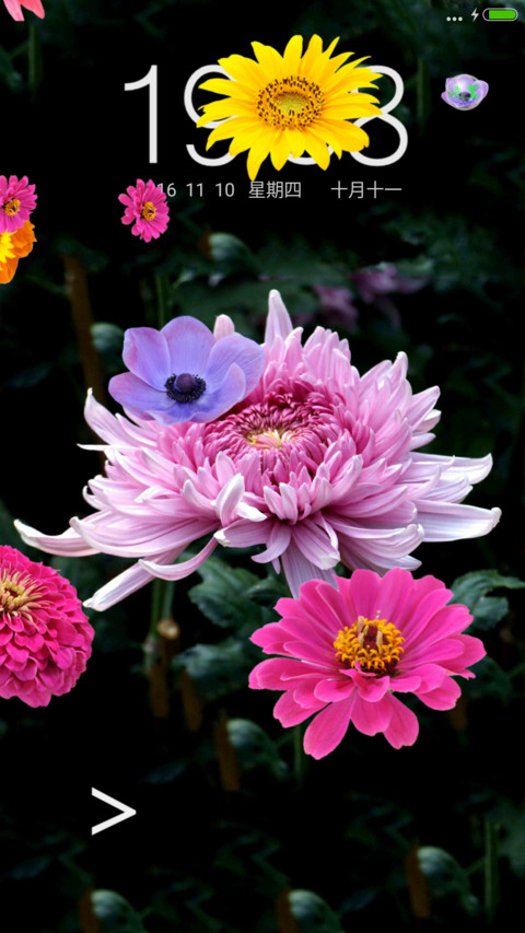 菊花（动态锁屏特效+动态桌面特效） screenshot