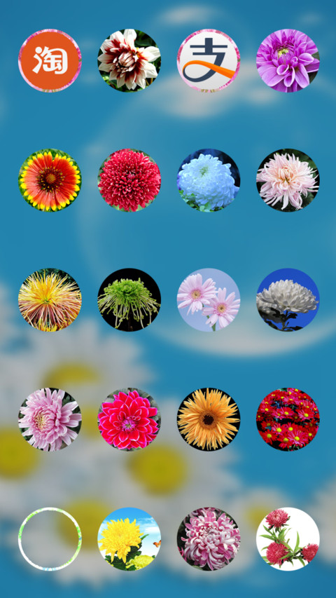 菊花（动态锁屏特效+动态桌面特效） screenshot