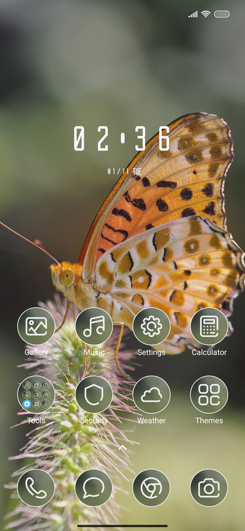 ButterFly1 screenshot