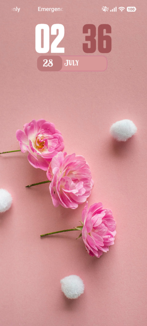 Rose screenshot
