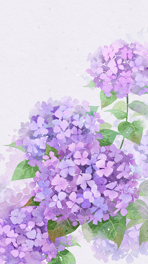流淌在鲜花中的古韵 screenshot