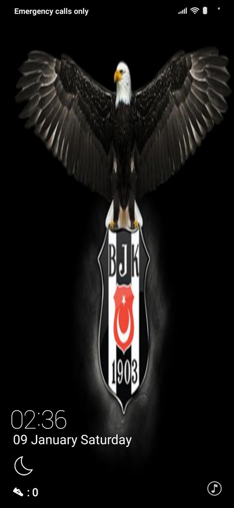 Kara Kartal screenshot