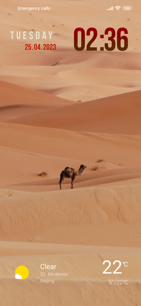 desert camel screenshot