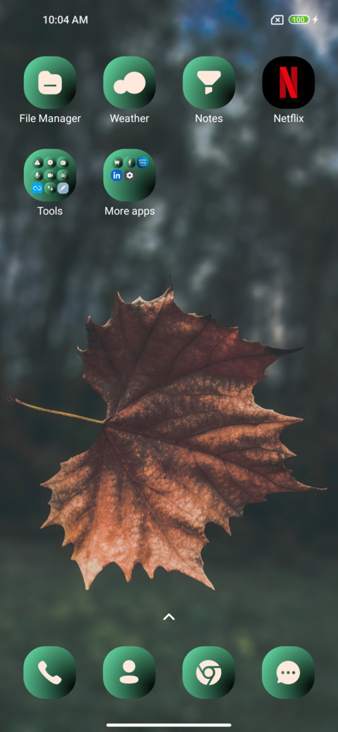 Jungle Autumn screenshot