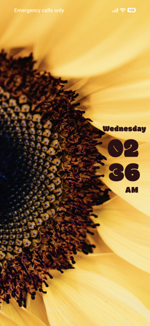 Sunflower screenshot
