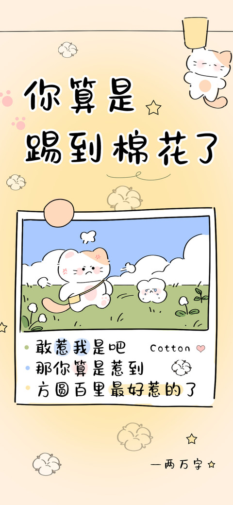 你算是踢到棉花了 screenshot