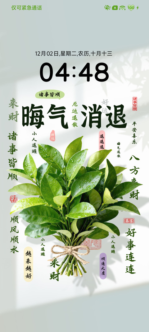 柚子叶壁纸 screenshot