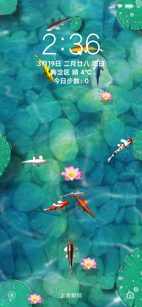 锦鲤 screenshot