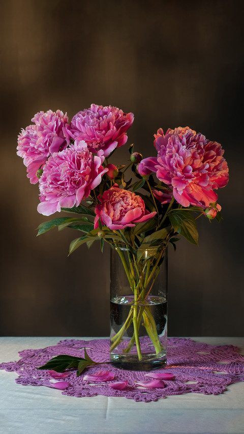 The temperature of a bunch of flowers 95 screenshot