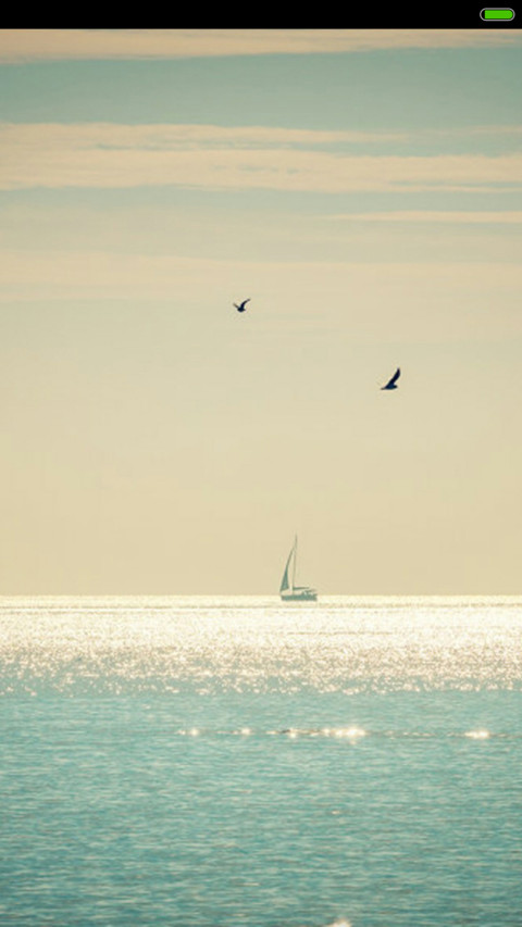 海鸥之上 screenshot