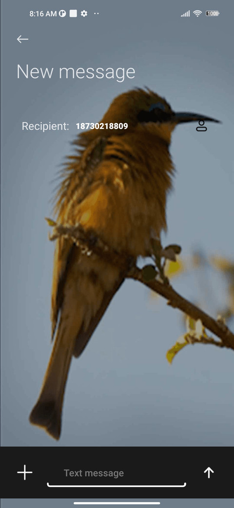 bee-eater screenshot