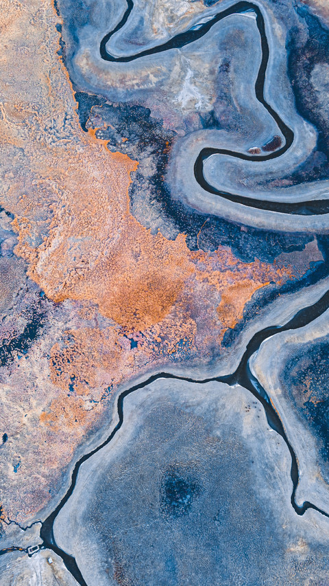 The winter texture of taheman wetland screenshot
