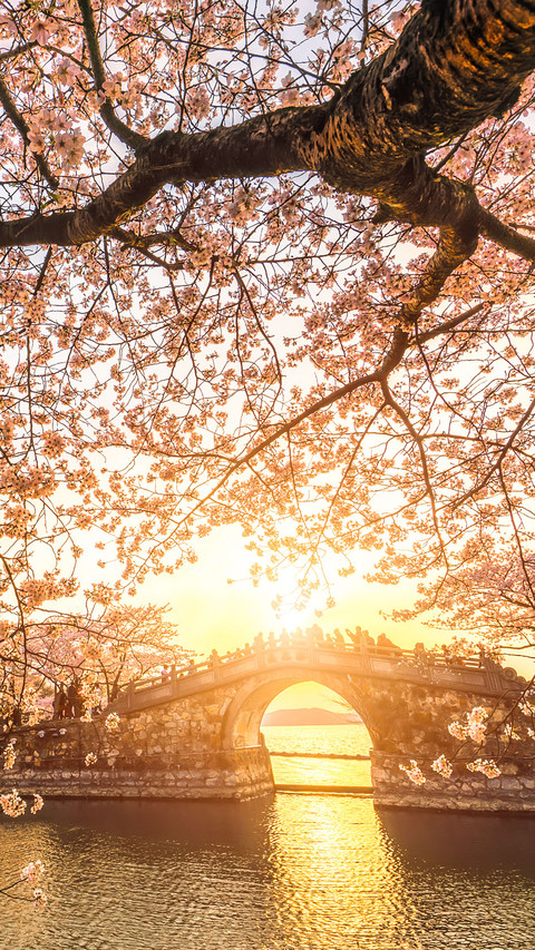 太湖明珠无锡 screenshot