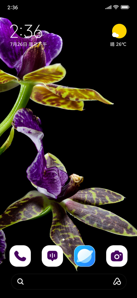Orchid Dawn screenshot