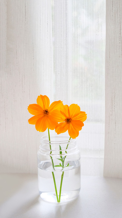 Orange flowers on the table near window screenshot