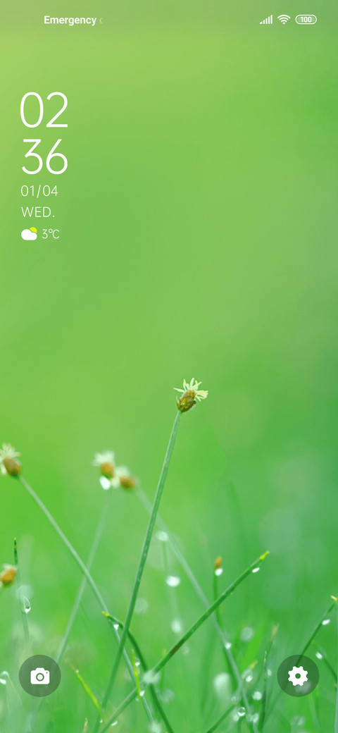 Spring spring screenshot