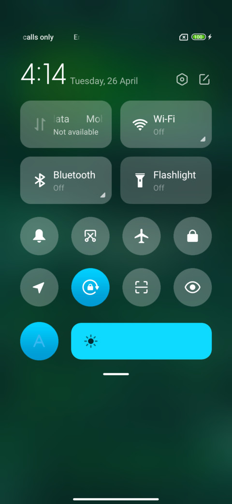 Nature green screenshot