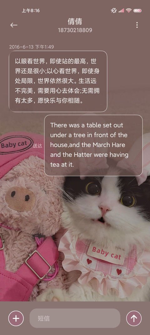 双拼甜心猪咪 screenshot