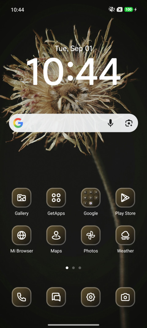 Wild Flower screenshot