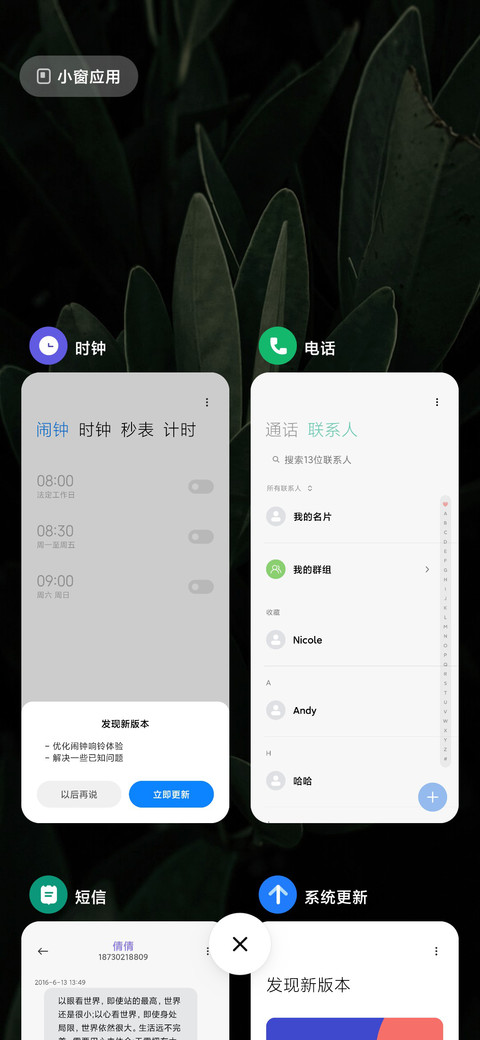 Widget screenshot