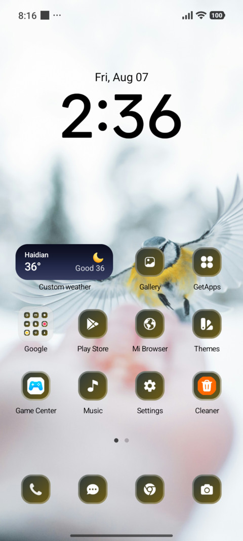 Winter Bird screenshot