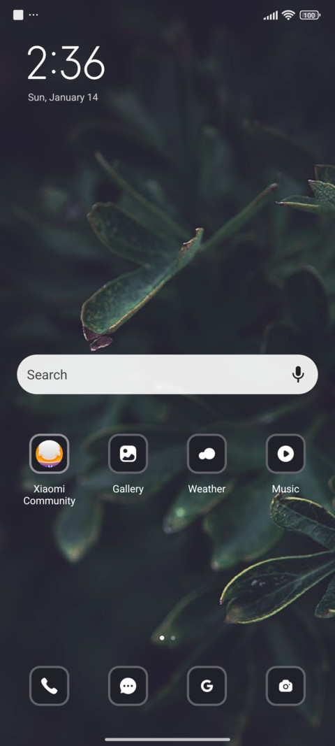 Leaf screenshot
