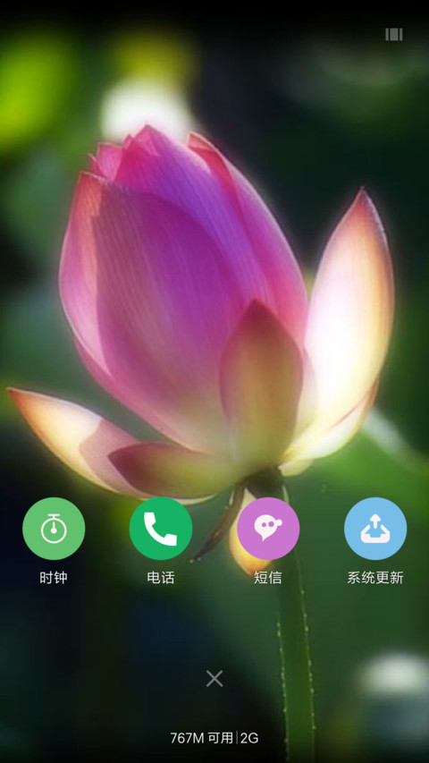 荷叶情 screenshot