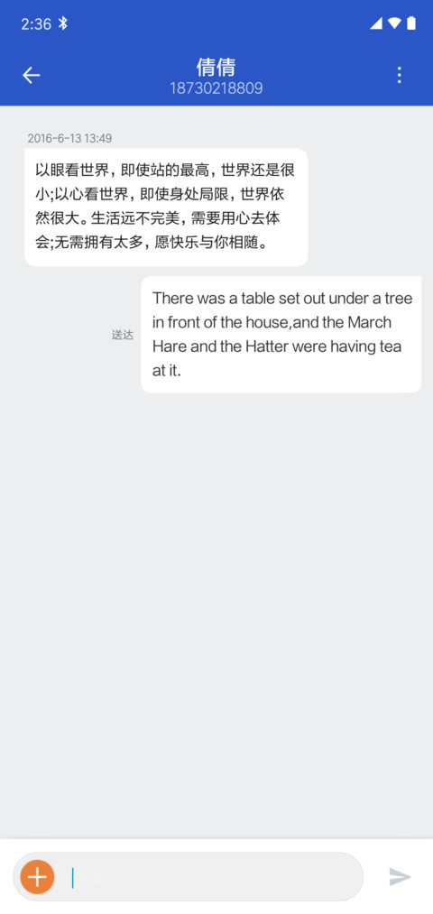 Native Android Q screenshot