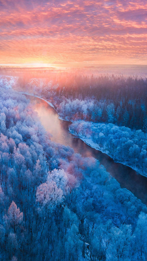 The morning light on the snowy plains reflects on the forest screenshot