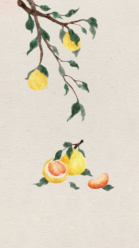 Pomelo helps digestion so dont be too fancy screenshot