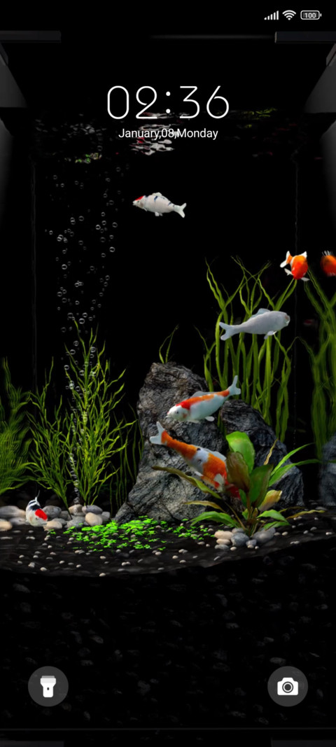 Aquarium screenshot