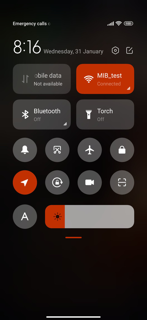 wildlife bull screenshot