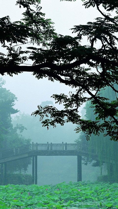 朦雾春意-视觉中国 screenshot
