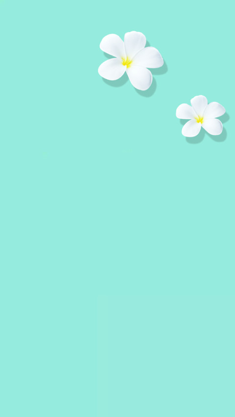 轻简 screenshot