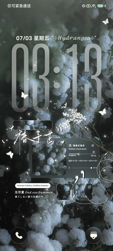 椿夏绣球花 screenshot