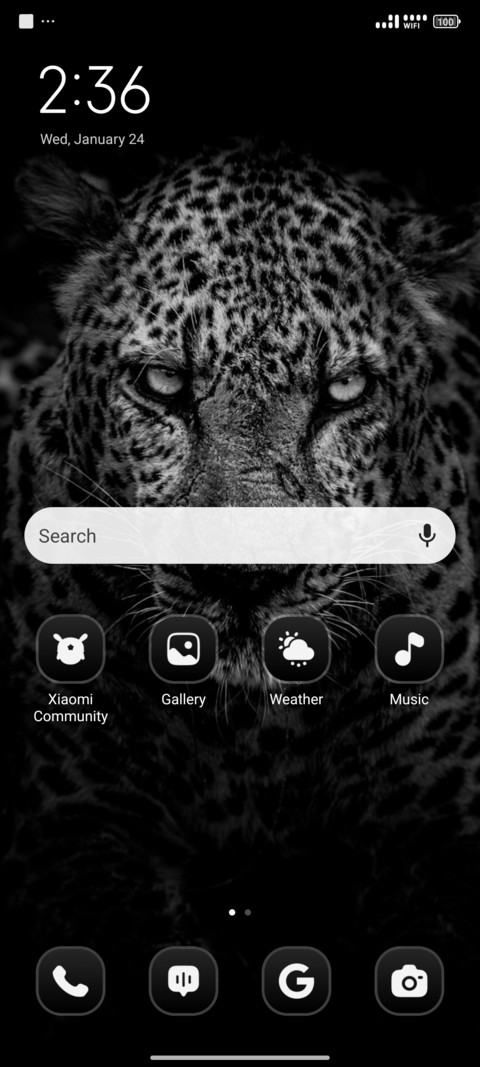 Grayscale Leopard screenshot